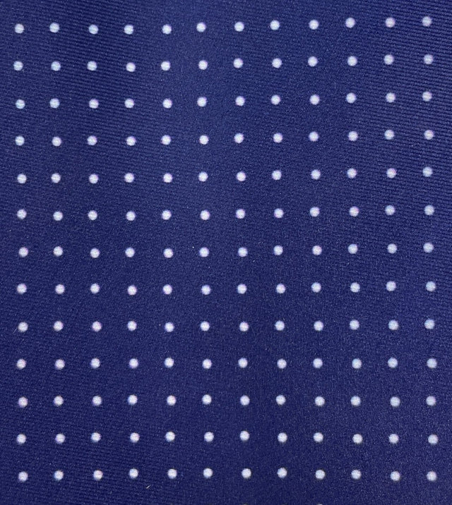 Recycled Plastic Italian Printed Micro Polka Dot Blue Tie - Wilmok